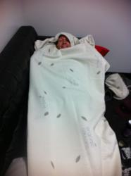 Gray Maynard Phiten Sleep Pod The Futon Shop