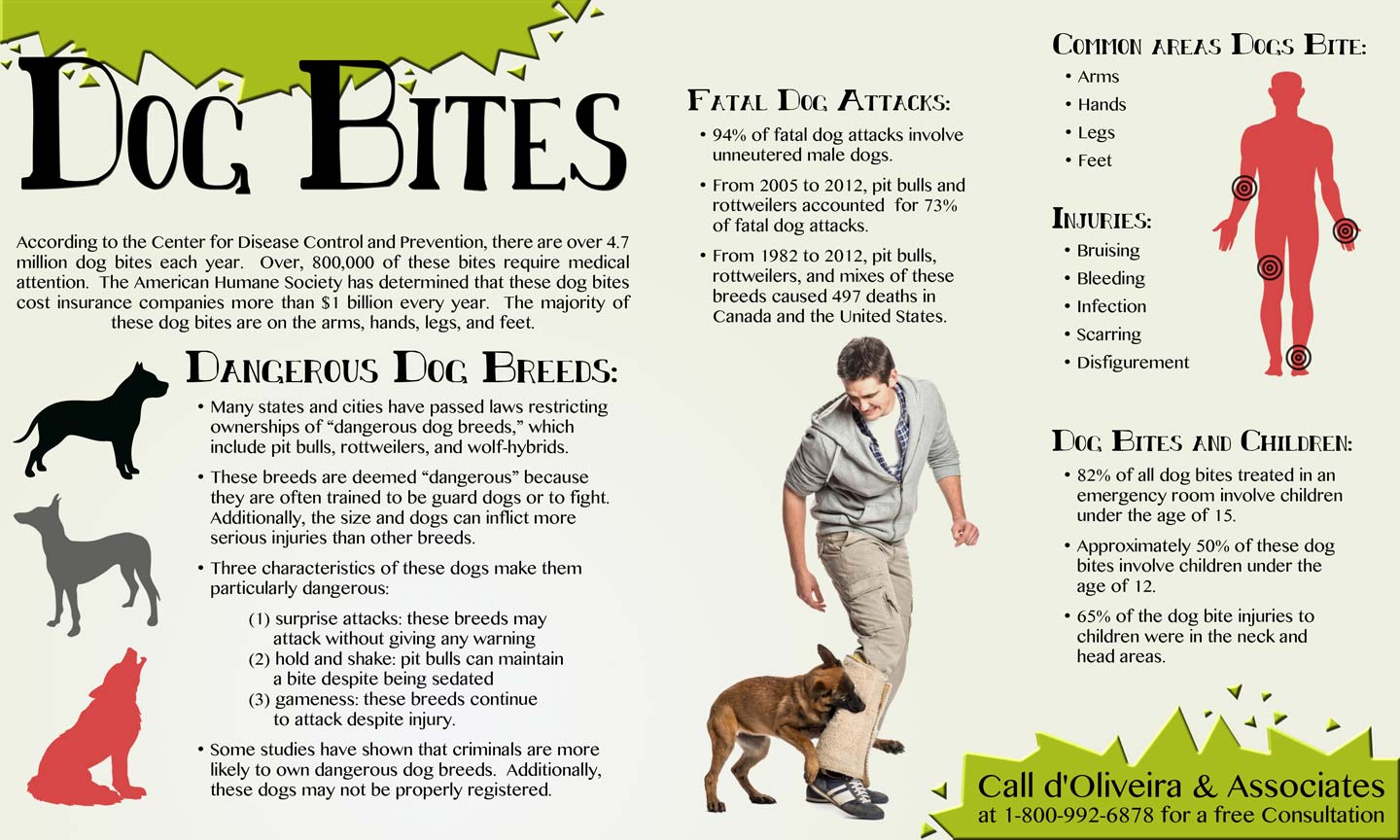 Personal Injury Law Firm Announces New Informational Graphic Regarding Dog  Bite Injuries