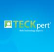 TECKpert Receives Three 2013 Communicator Awards for Web and Mobile...