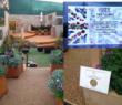 Eco Resin Bound on Two Award-Winning Stands at Chelsea Flower Show
