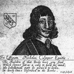 Nicholas Culpeper herbalist and astrologer