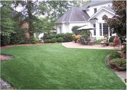 artificial grass runway,pet-friendly artificial turf,dog-friendly synthetic grass,dog-friendly synthetic turf,artificial pet landscape
