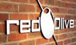 Red Olive Increases Workforce by 50% to Keep Up with Demand for Web...