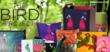 Indiacircus.com Launches a Stunning Collection "The Bird...
