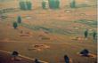 Release of Two Books on the Same Day Recall the Aerial Massacre in...