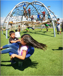 artificial grass playground,pet-friendly artificial turf,synthetic grass,dog-friendly synthetic turf,synthetic grass playground