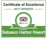 Trip Advisor Certificate of Excellence