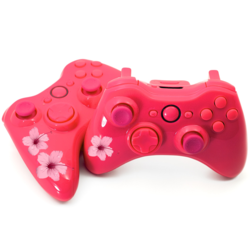 Modded Controllers for girl gamers