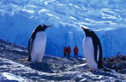 antarctica cruises, ocean nova,