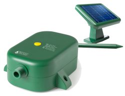 Rain Wizard Solar Pump