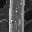 Patent for Coaxial Nanofibre Production