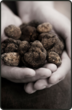 The "Truffle House Rules" from the Joel Palmer House...