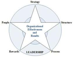 Creating a balanced and synchronized organization.