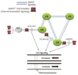 GL Announces MFC-R2 Signaling Emulation