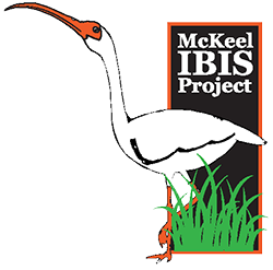 McKeel IBIS Project