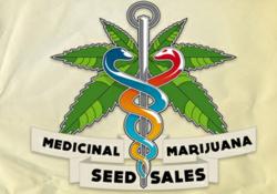 http://medicinalmarijuanaseedssales.co.uk/ R.M.S.S. Medical Marijuana Seeds Reeferman Seeds http://medicinalmarijuanaseedssales.co.uk/