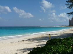 Caribbean Yoga retreat