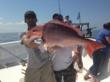 Top Things to Do For Father's Day in Destin