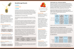 Study Reveals How to Increase Productivity