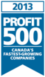 PROFIT 500 - 2013