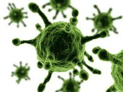 Viral Disease @ TriScience.com