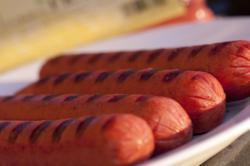 Bison / Buffalo Hot Dog