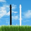 CorwdControlStore.com: New Plastic Stanchions (In Ground) Introduced...