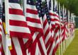 Fayetteville Area Convention & Visitors Bureau Invites You to...