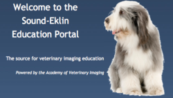 Sound-Eklin Veterinary Ultrasound Education Portal