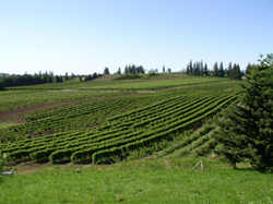 Farm