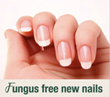Zeta Clear, Most Powerful & Natural Nail Fungus Treatment, Now...