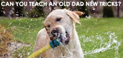 Teach an "old" Dad new tricks with Washdrops.