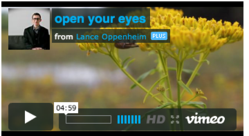 Award winning filmaker, Lance Oppenheim produces "Open Your Eyes" a short film about a national epidemic in America