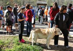 Olde Towne Pet Resort and fitness apparel store Metro Run and Walk recently partnered to raise both funds and important awareness for homeless pets in the Northern Virginia area by organizing a local run and walk event named Break a Sweat for a Homeless P