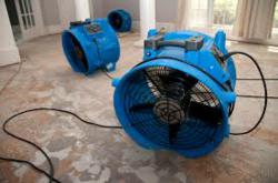 Air movement speeds up water damage recovery