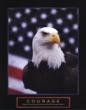 Patriotic Posters Now Available at PosterNation.com