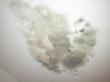 Toxic Mold Estimated to Cost Mounds School $6 Million, My Cleaning...