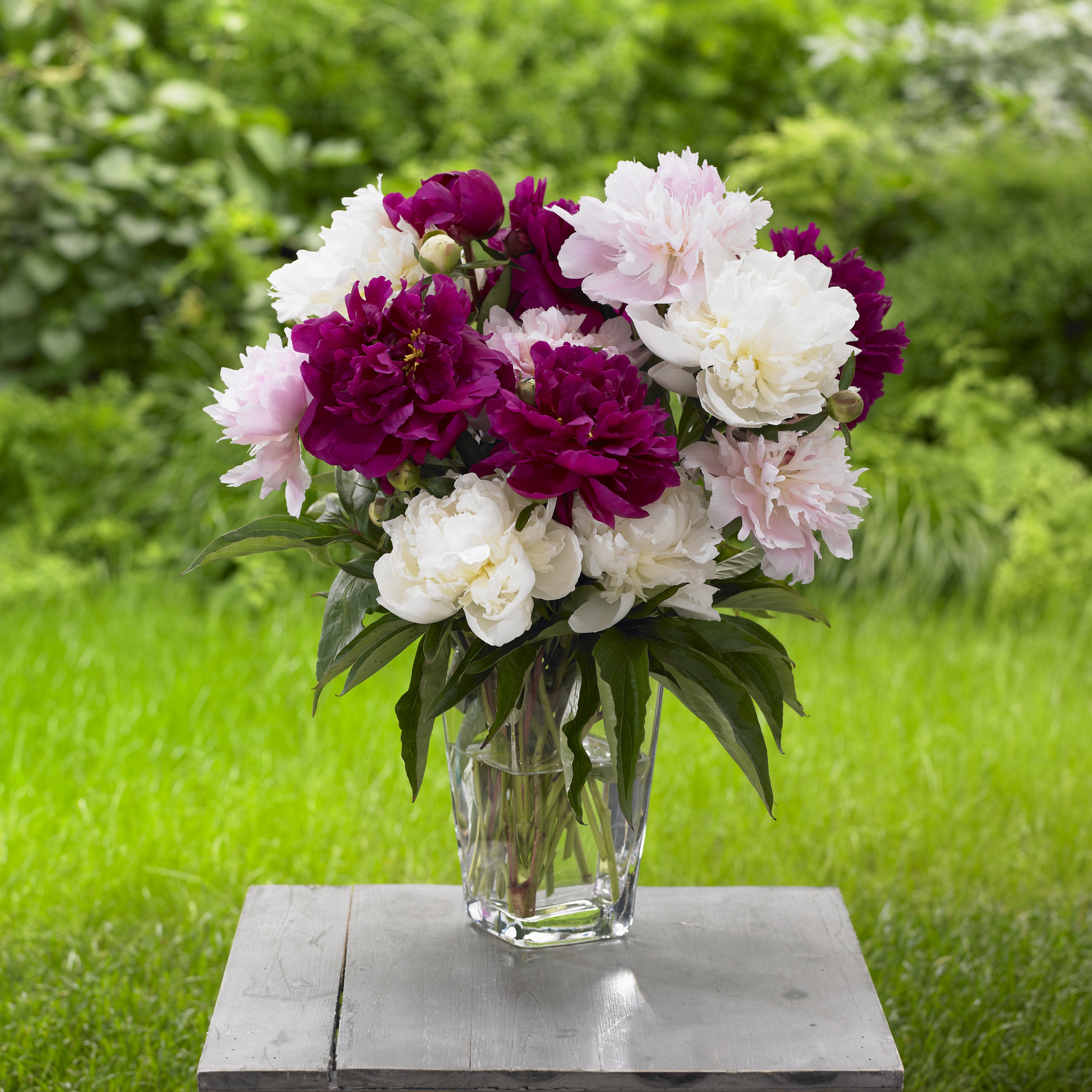 Tips for Growing a Cutting Garden to Create Gorgeous Bouquets