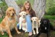Dogington Post and Merrick Pet Care Offer Live Senior Dog Health Seminar with Jennifer Kachnic