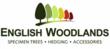 Get the Edge on Summer Landscaping - 20% Off Lawn Edging with English...