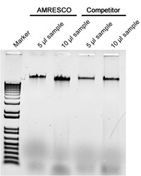 Genomic DNA was isolated from 8 x 10e7 Saccharomyces cerevisiae. The DNA pellets obtained with both kits were suspended into equal final volumes and then 5 µl and 10 µl volumes were loaded onto an agarose gel for comparison.