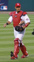 Cardinals Catcher Molina