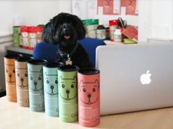 dog working