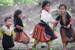 Vietnam Private Tours