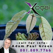 Charlotte, North Carolina-based "Xocai Weight Loss Drink"...
