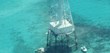 Former Olympic Medalists Set to Host Most Challenging Open Water Swim...