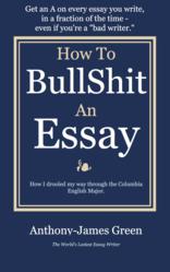 How to bs essay