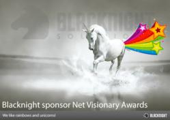 Blacknight Sponsor IIA NetVisionary Awards 2013