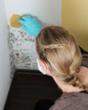 Monmouth Residents Get Mold Removal Help, My Cleaning Products Adds...