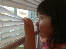 Contest, blinds, shades, shutters, drapes, discount blinds, cheap blinds